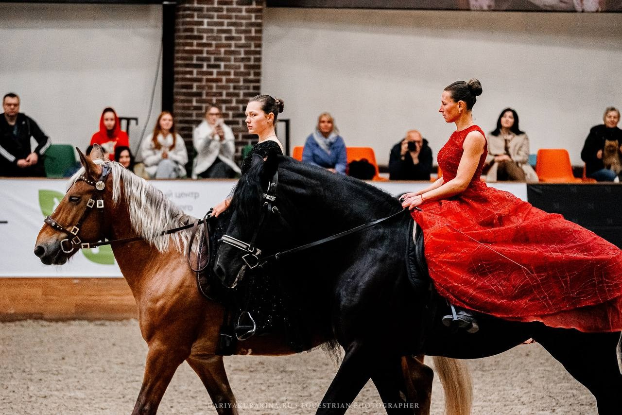 КОННАЯ РОССИЯ 2024. Конный фотограф Куракина Дарья • Фотосессии с лошадьми