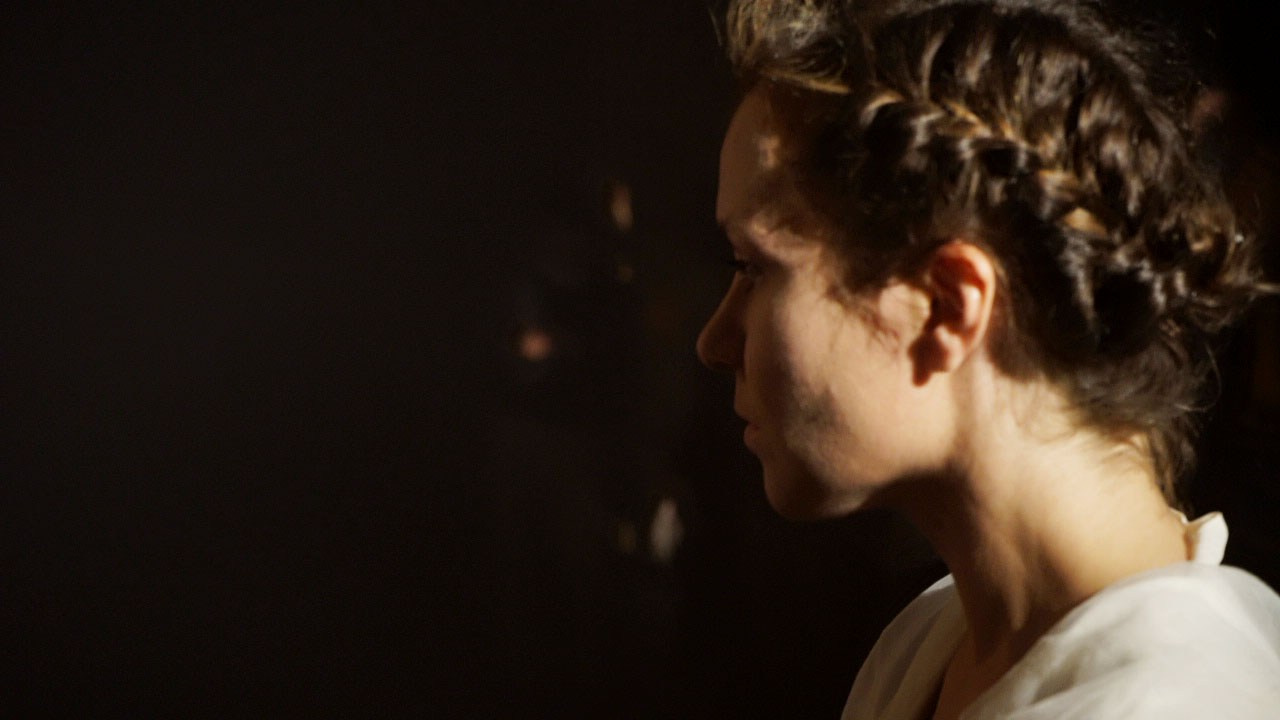 Красное дерево. Фото / Видеосъемка в Москве