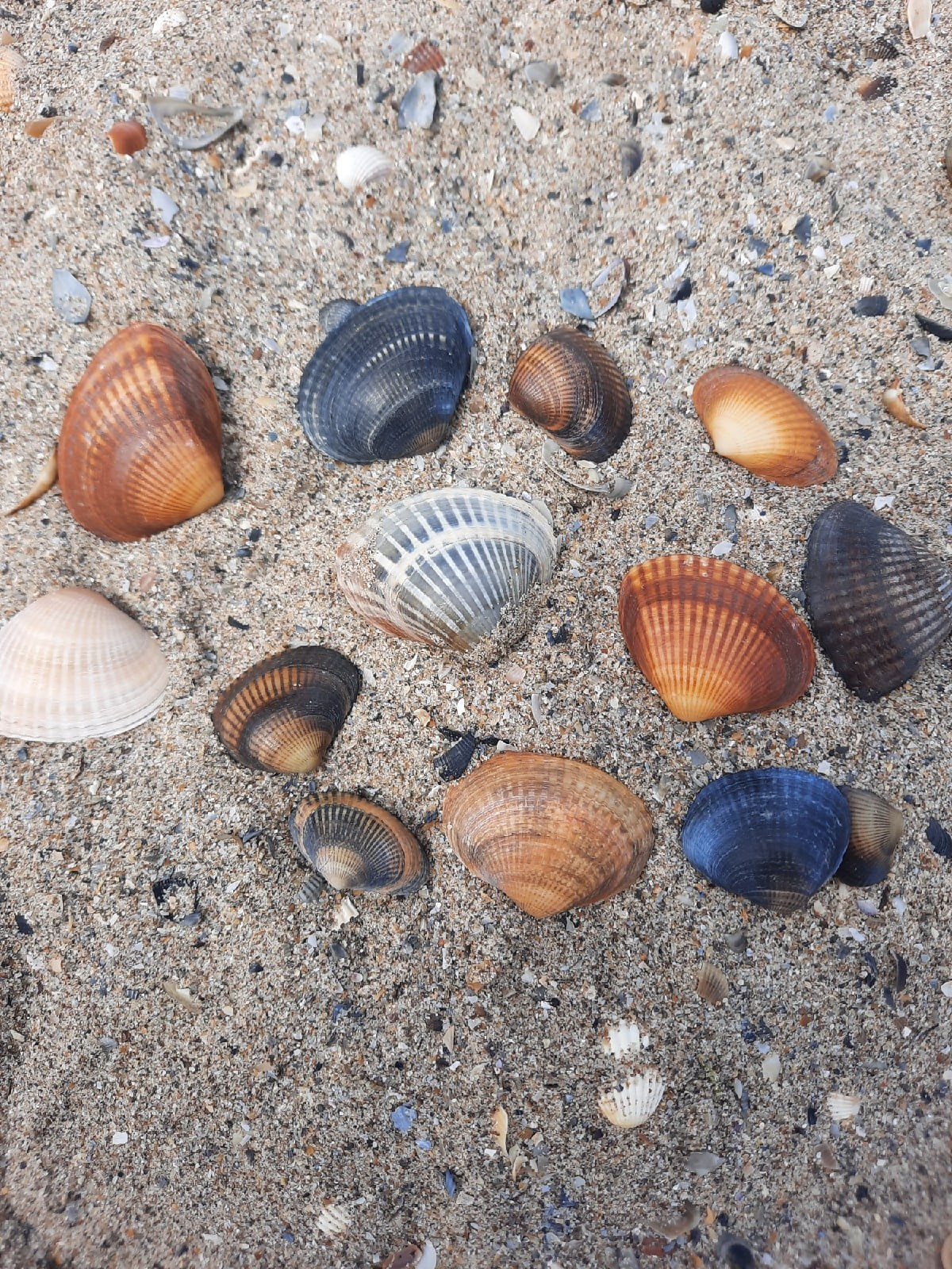 Великолепный Дагестан | 01-03.05.2021. Галерея Фантим