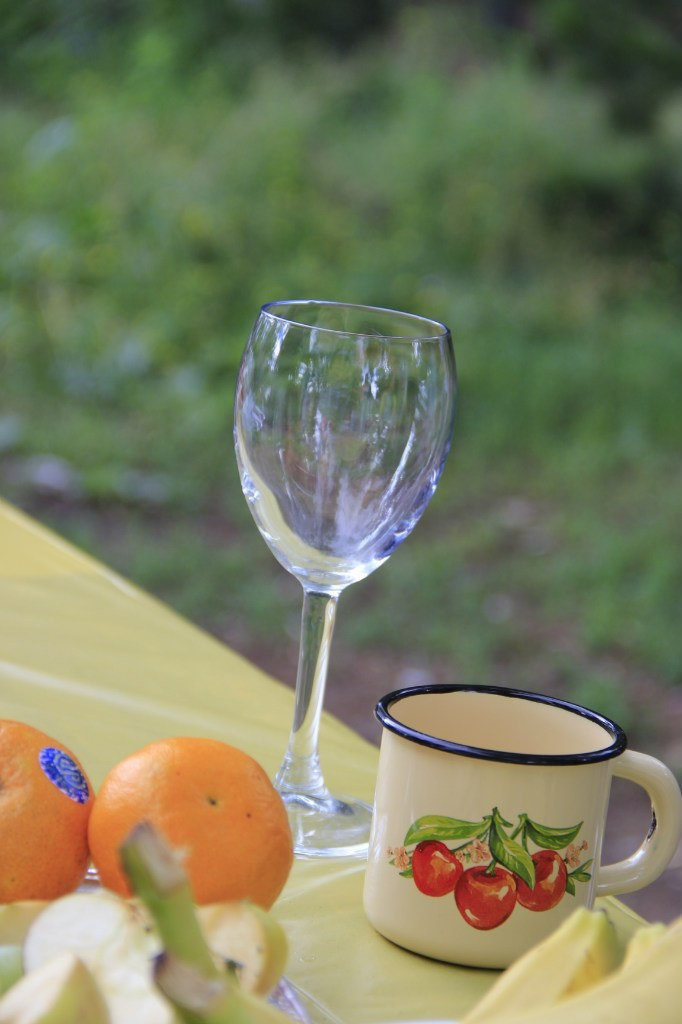 Шашлыки. Турнир по крокодилу | 09.07.2016. Галерея Фантим