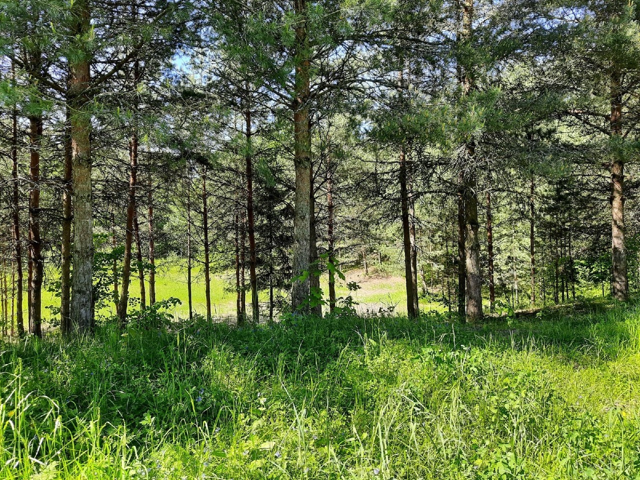 Пятница! | 2021. Галерея Фантим