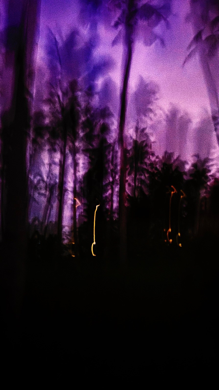 With open eyes. Carolinetru