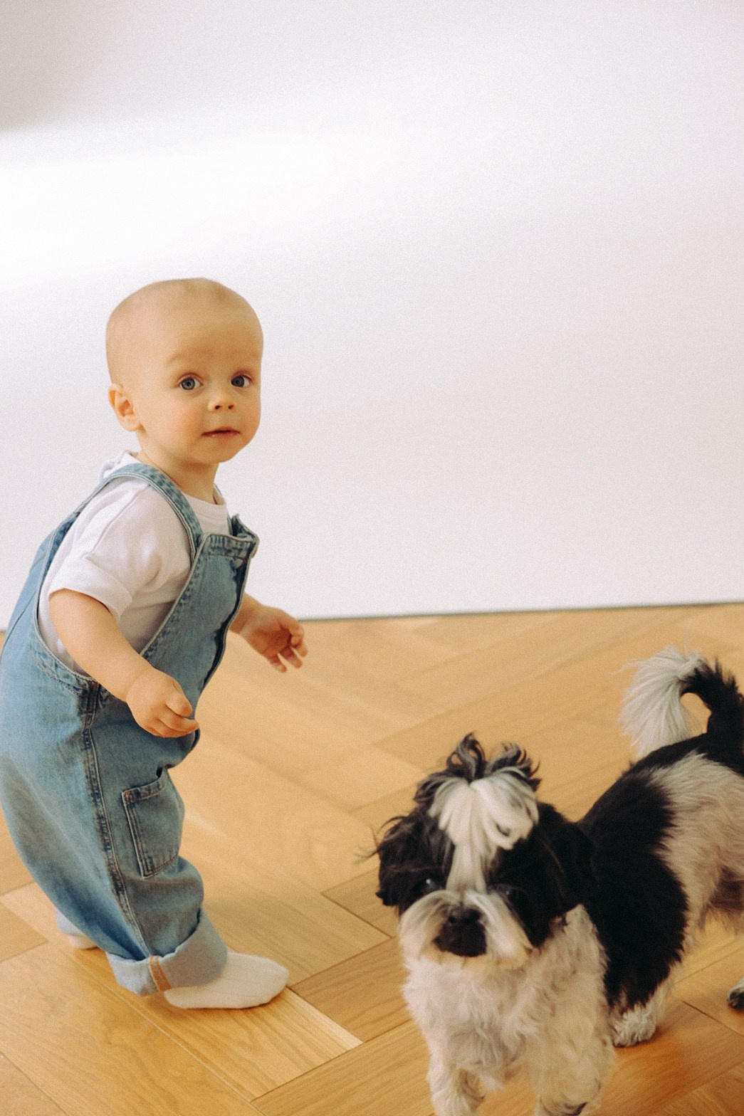 Дамиру целый год!. Фотограф Нижний Новгород