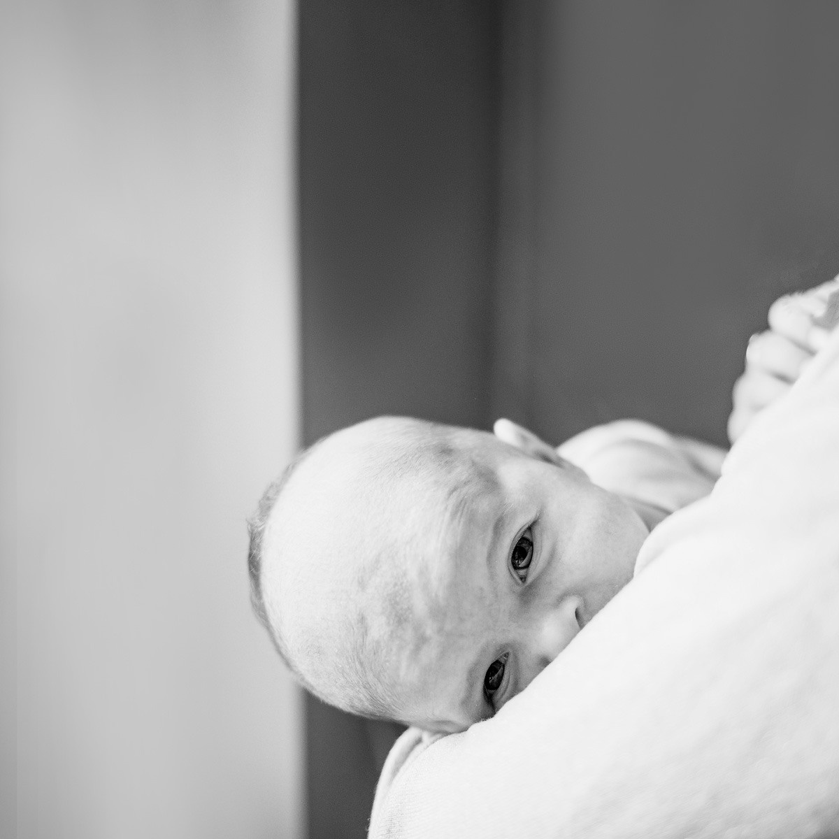 Адель. Newborn lifestyle фотограф Екатерина Будиновская