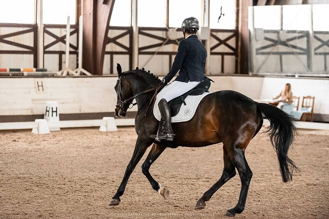 Муниципальные соревнования по выездке «Весенний Кубок КСК «Белая дача». Конный фотограф Куракина Дарья • Фотосессии с лошадьми