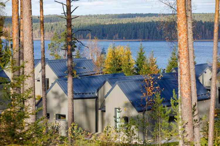 Женский выезд в Ленинградскую область. Ароматестирование по методу Аромакод и Нейростатус в Санкт-Петербурге