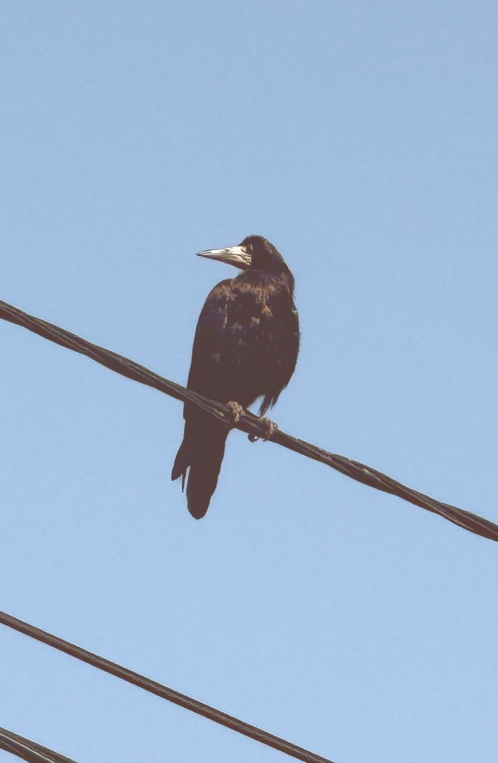 Уличный. Фотограф Арсений Королев