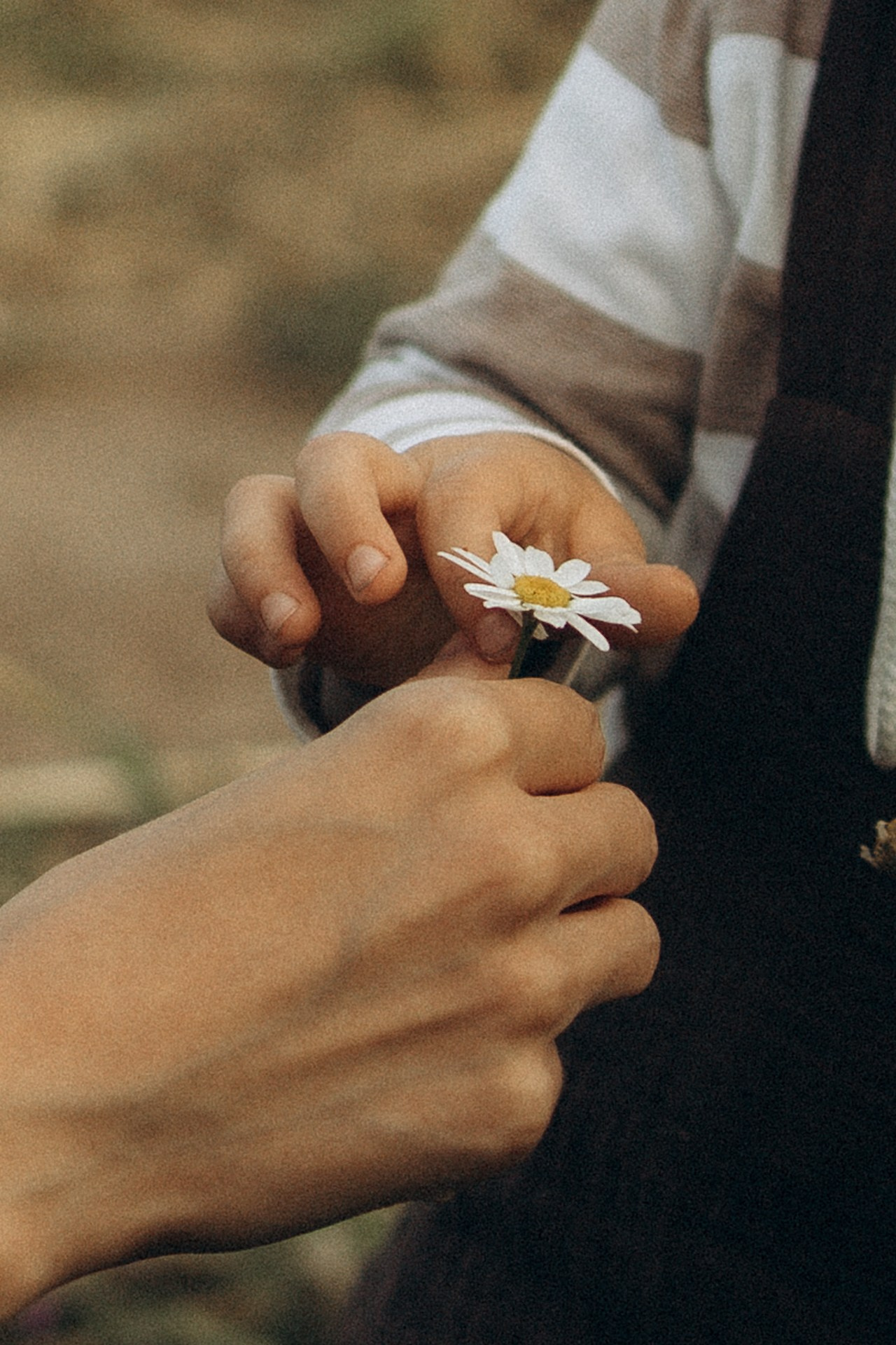 Лида и Мишенька. Семейный фотограф в Ижевске Даша Денисова