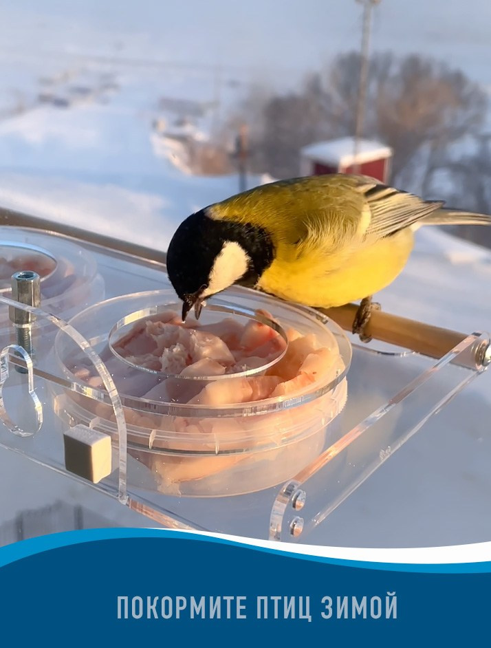 ПОИЛКА DUO. Кормушки для птиц на окно Чирик-Чирик