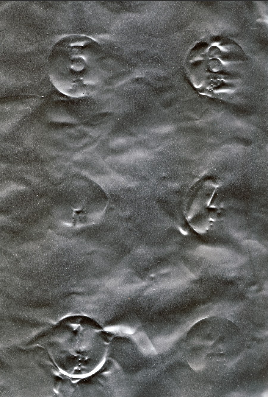 Нулевые зоны. Шалыгина Юлия