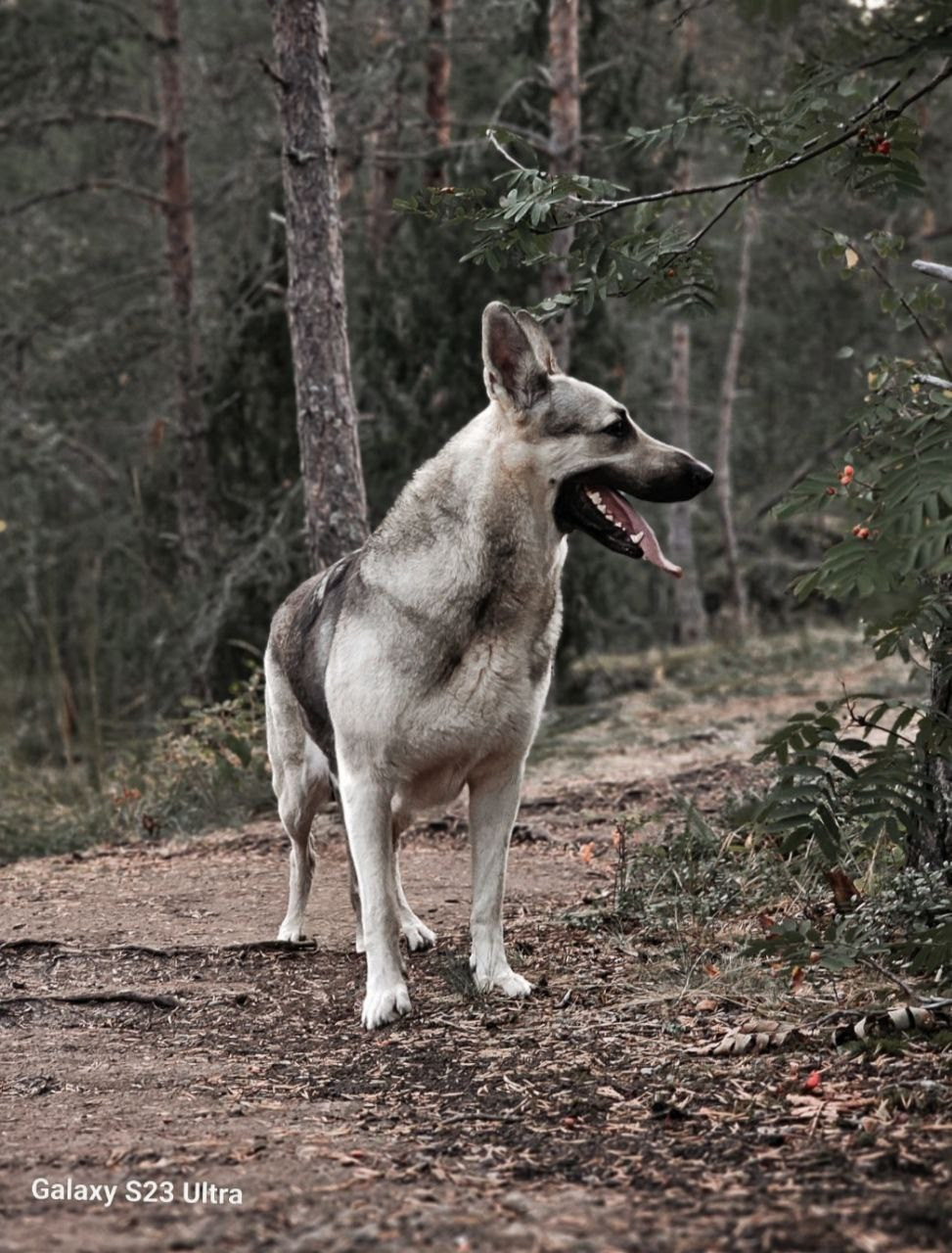Графический дизайн. Силантьева Наталья фотограф