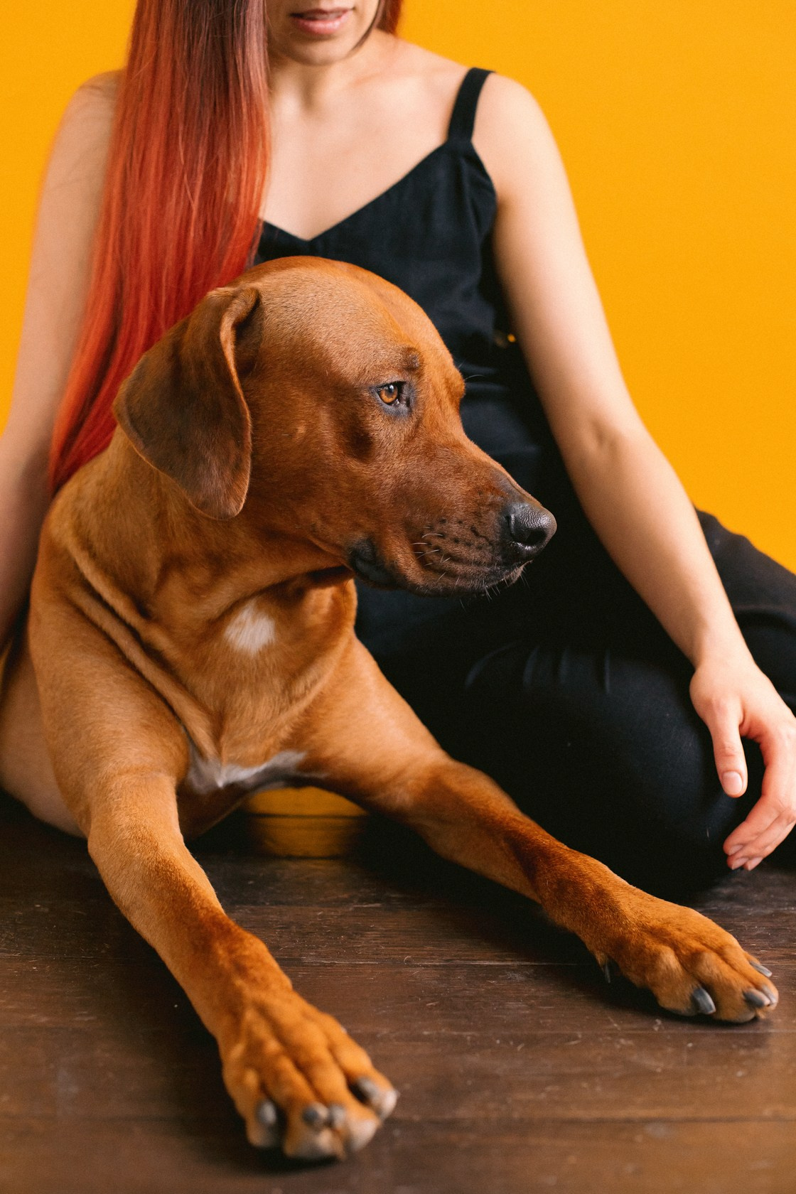 Виктория и Клинч