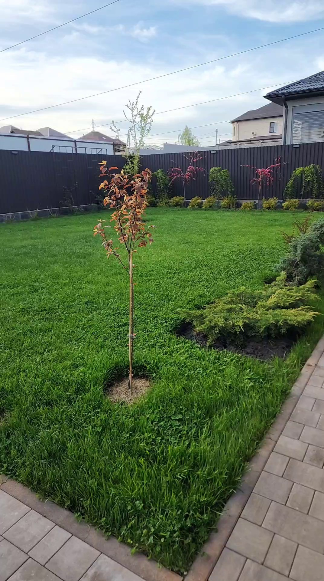 Участок Оксана. Дизайн интерьера, мебели и ландшафта на КМВ | OXY Design