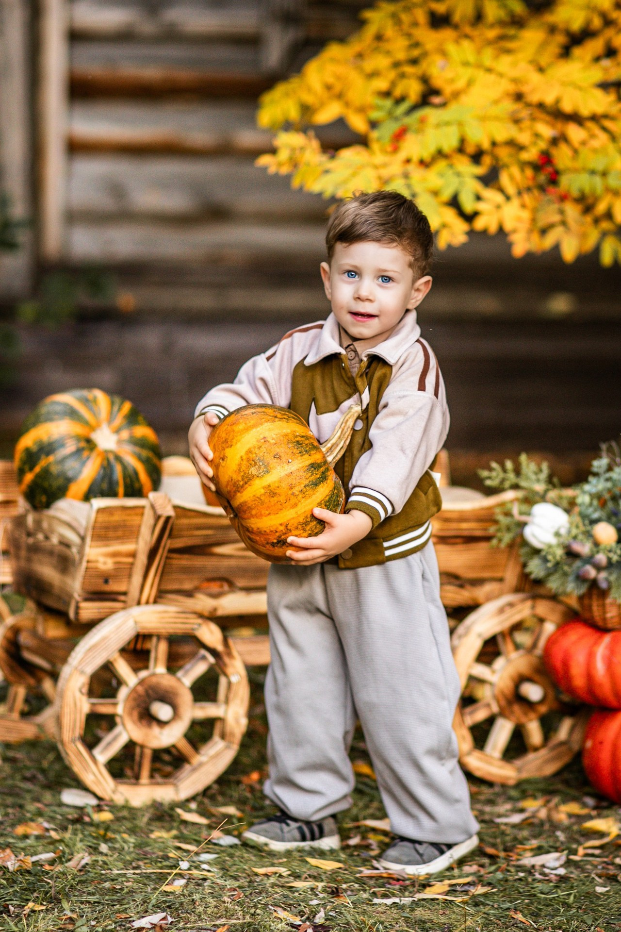 Осенние. Фотограф Елена Вишневская (Ушакова) Нефтеюганск, Сургут, Тюмень