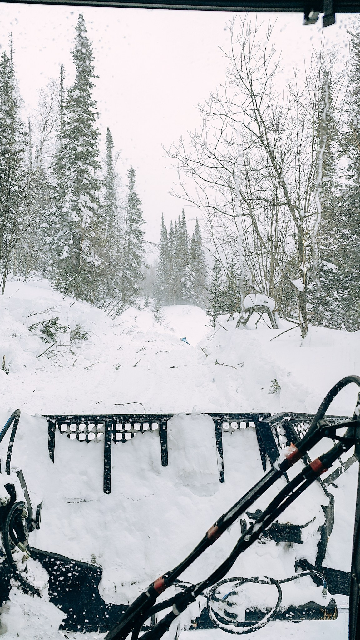 Приисковое. Человек с фотокамерой