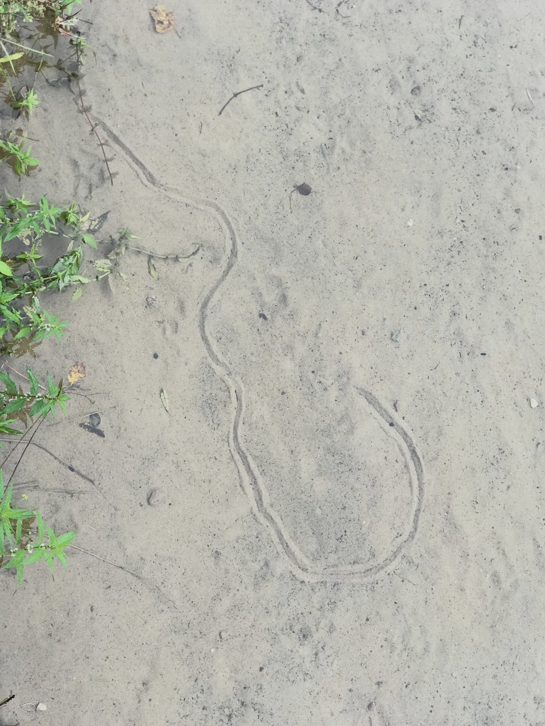 Аня Зайцева «Видимое-невидимое». Private image