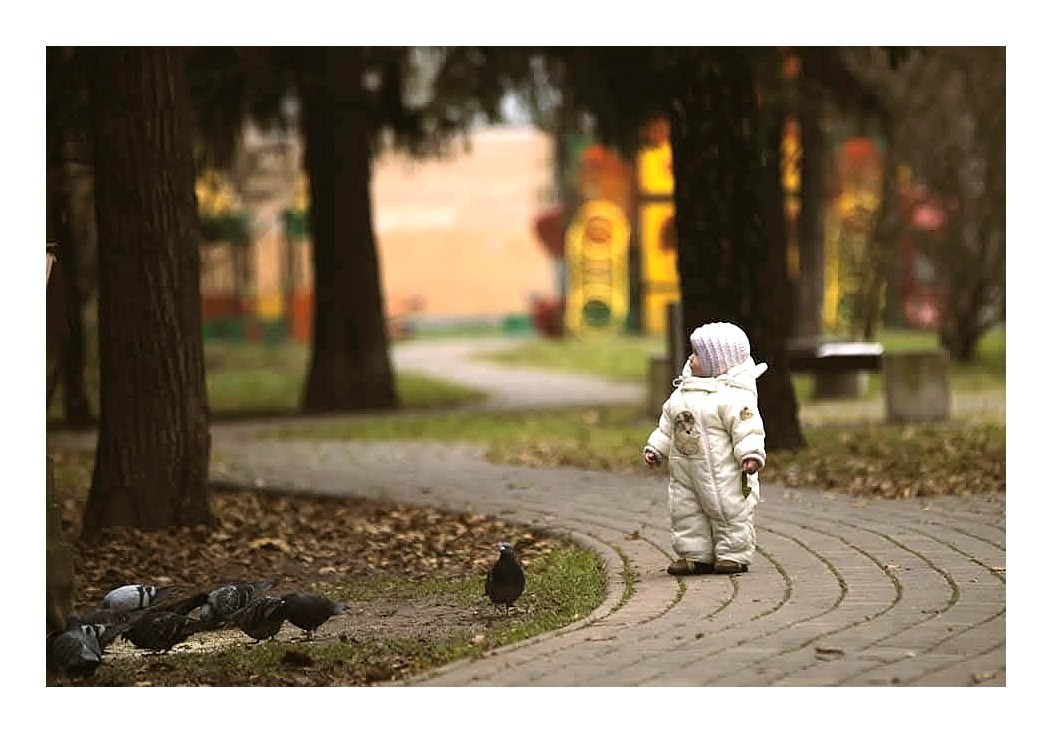 Фотопринты А3. Фотопроект «Территории»