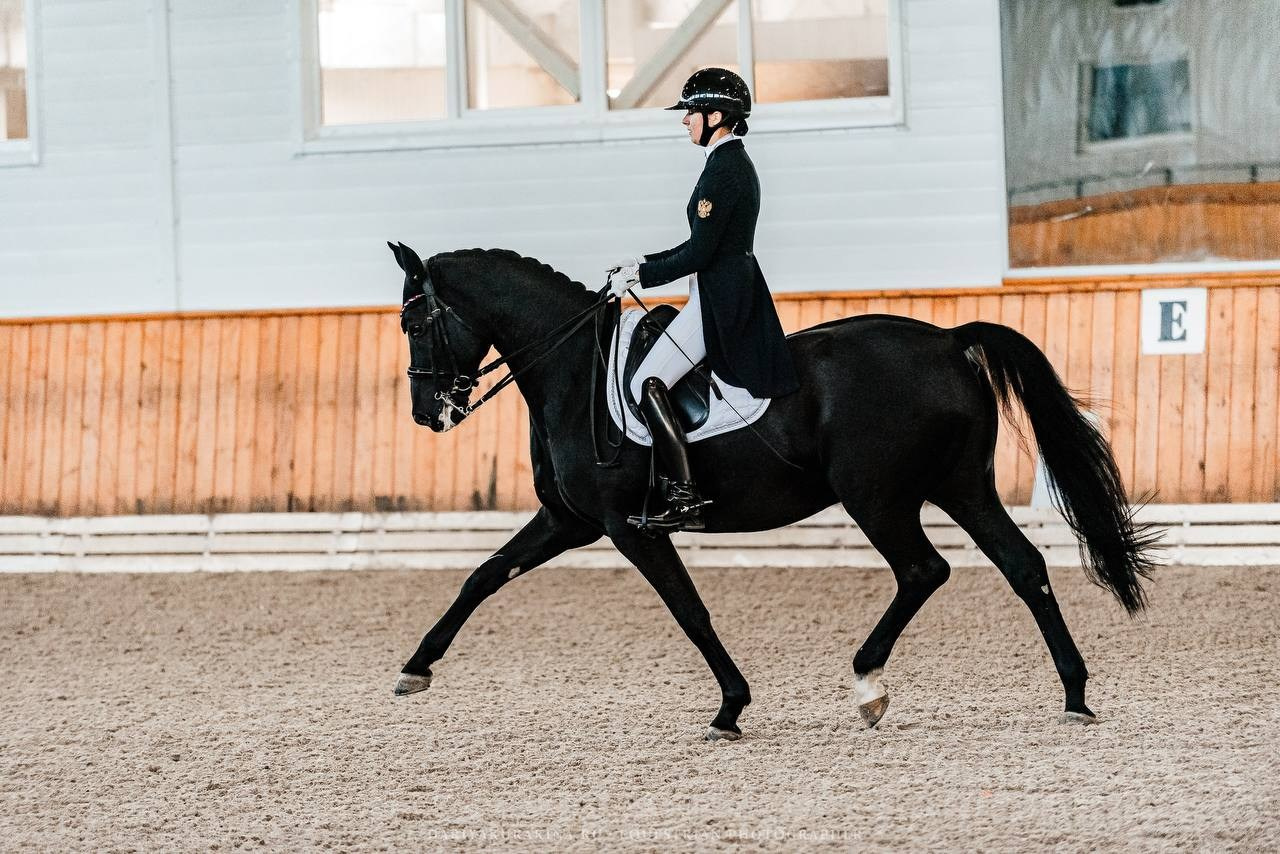 ЗОЛОТАЯ ОСЕНЬ КСК «КОНКОРД», ВЫЕЗДКА. Конный фотограф Куракина Дарья • Фотосессии с лошадьми