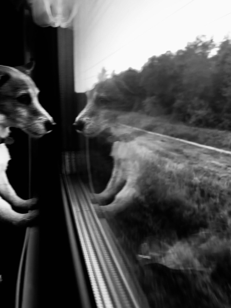 Yōko. Семейный фотограф в Москве Вики О»
