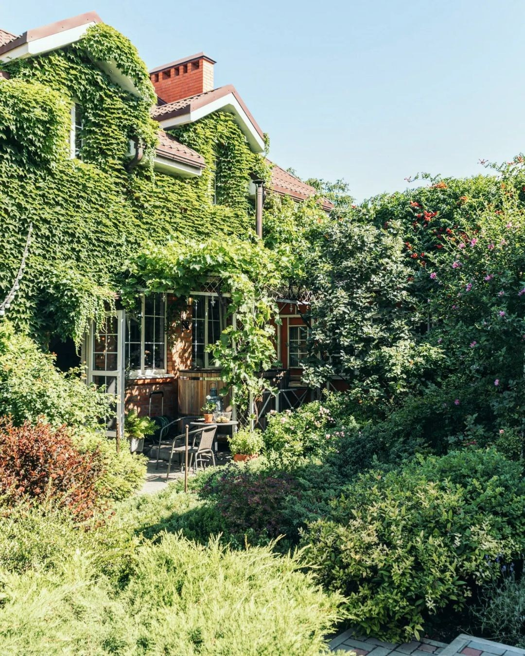 Теплица Власенко