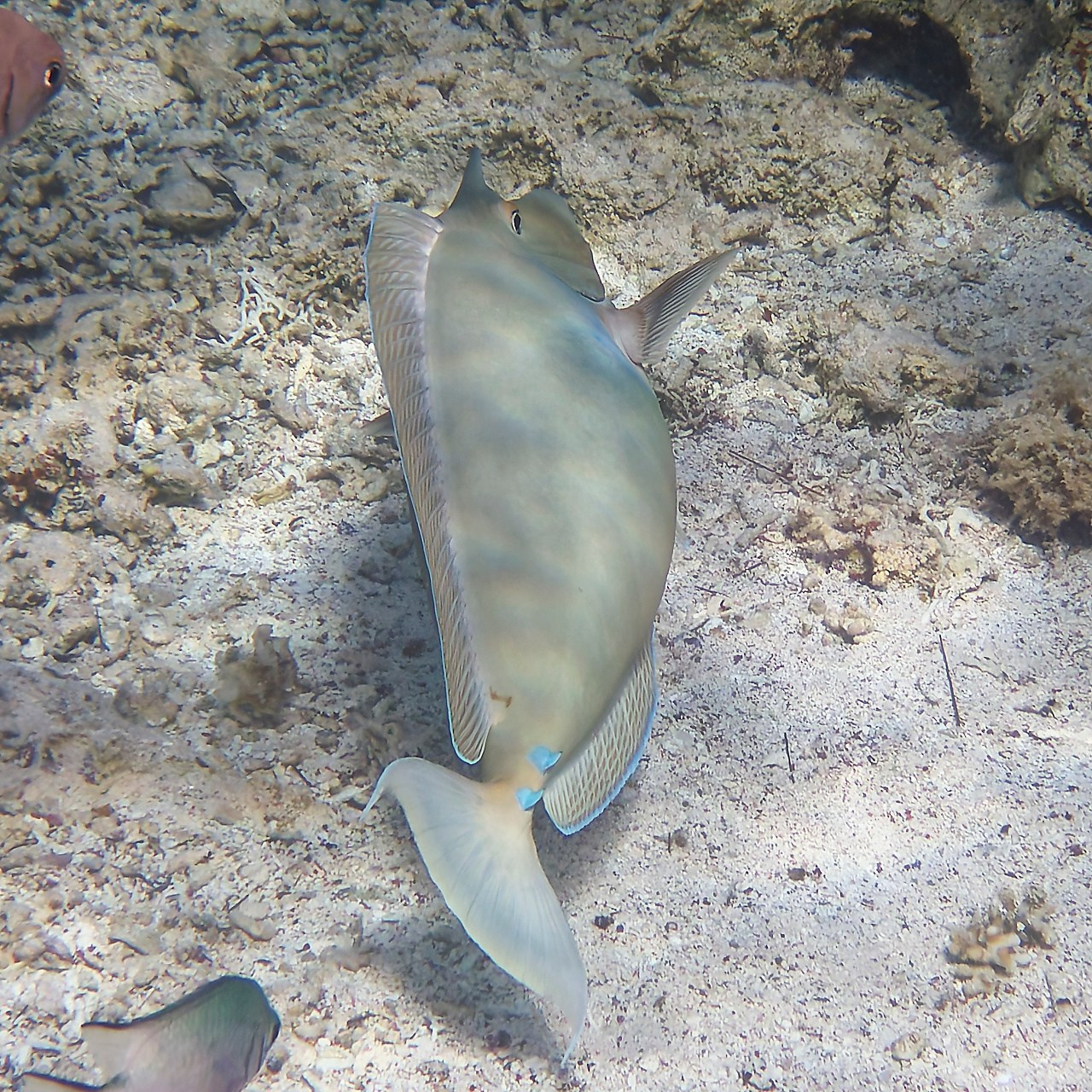 Мне посмотреть. Рыбов показываю