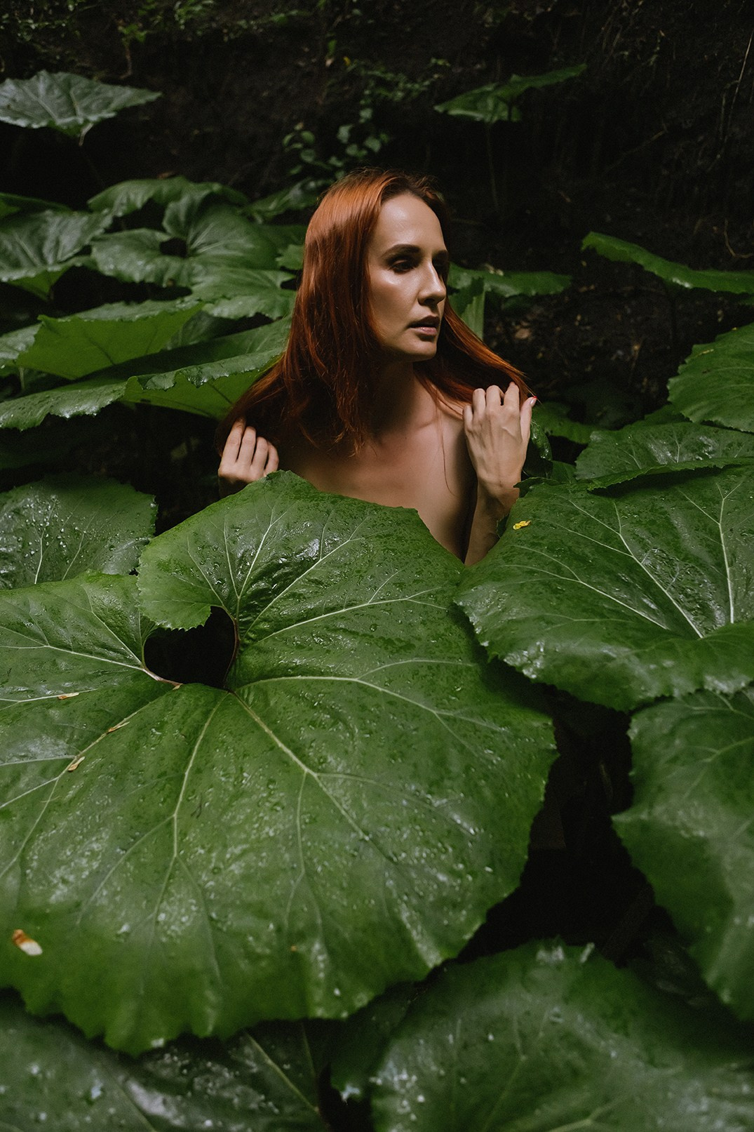 Оля портреты. Семен Соколов