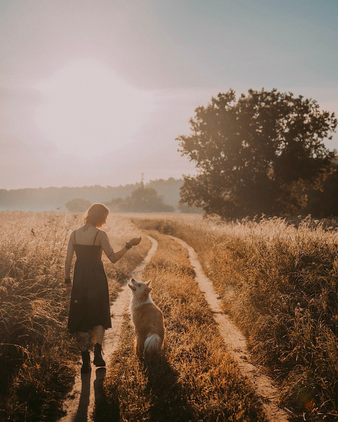 Рина и Марси. Фотограф анималист в Москве и Санкт-Петербурге Свиридова Анна