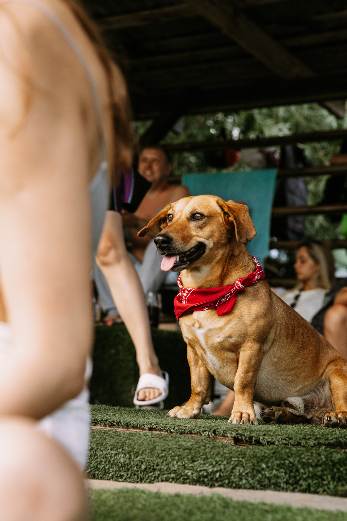 VodnyBodry22. Фотограф Максим Маркелов