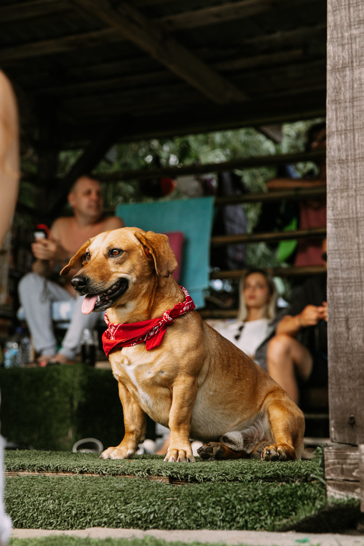 VodnyBodry22. Фотограф Максим Маркелов