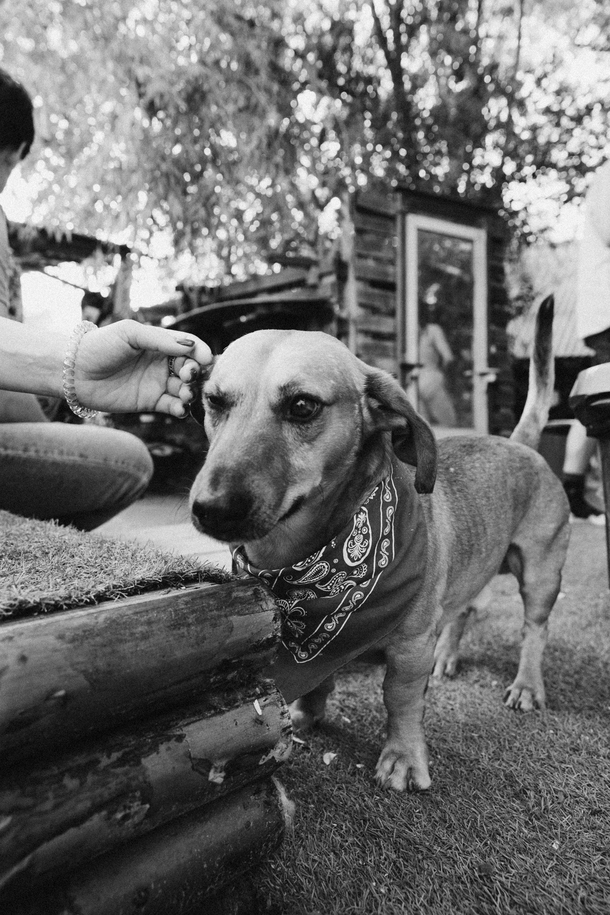 VodnyBodry22. Фотограф Максим Маркелов