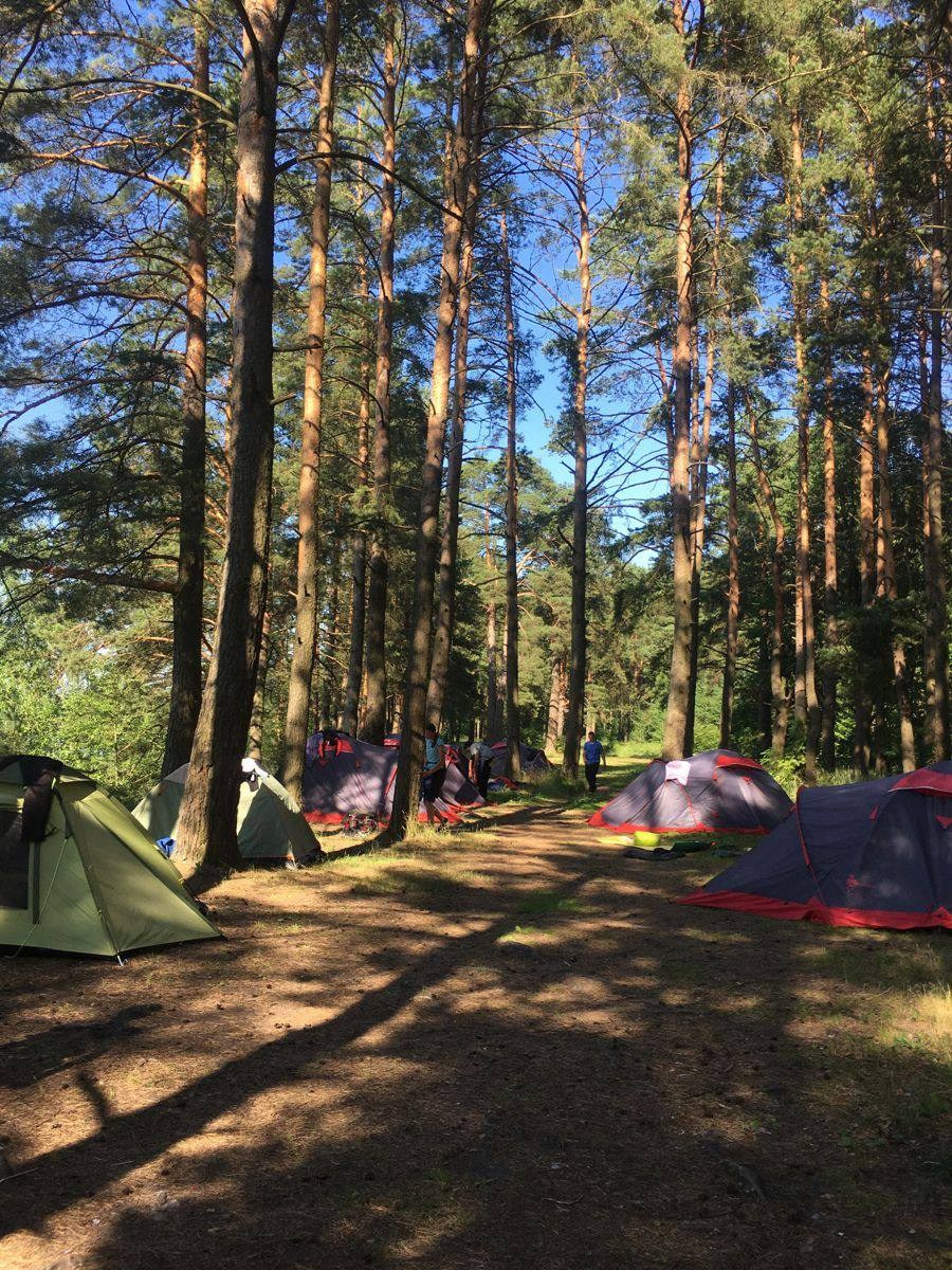 Территория. Добро пожаловать в Кемпинг — уникальное место для отдыха на лоне природы!