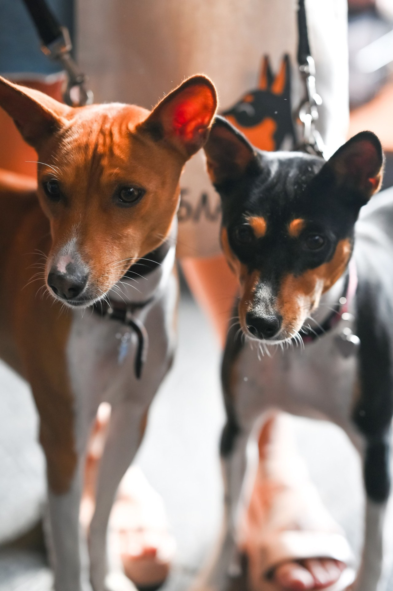 Отзывы. ZDARONOKIA Репортажный фотограф