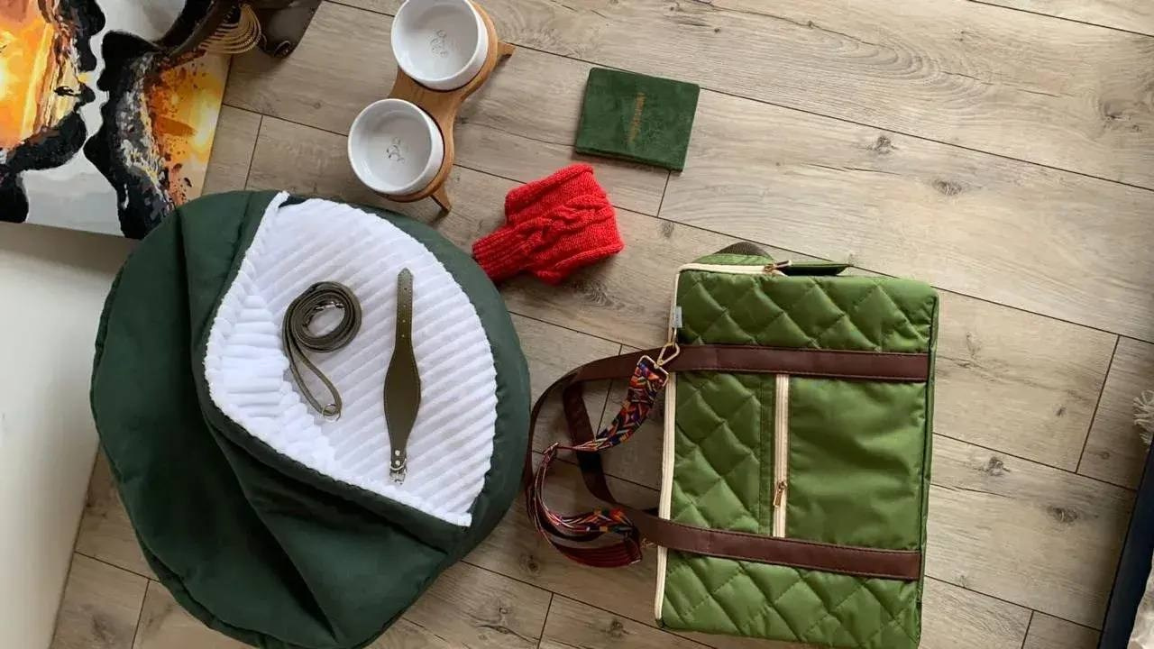 Сон и отдых. Профессиональный питомник левреток РКФ/FCI ASTI SAPPHIRE 💎 Сочи|Санкт-Петербург