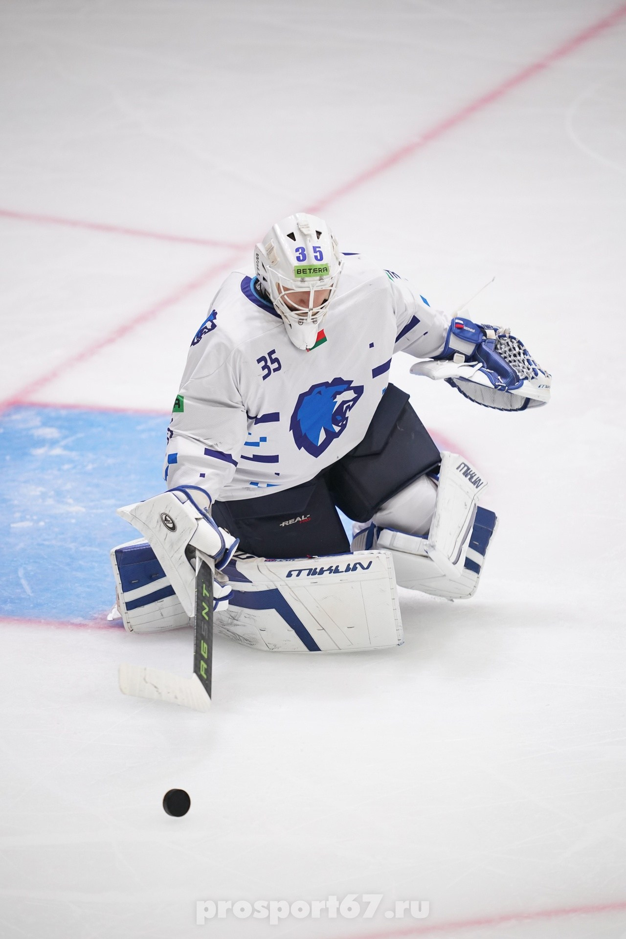 Хоккей. Спортивный фотограф Олег Медведев | prosport67 | Смоленск