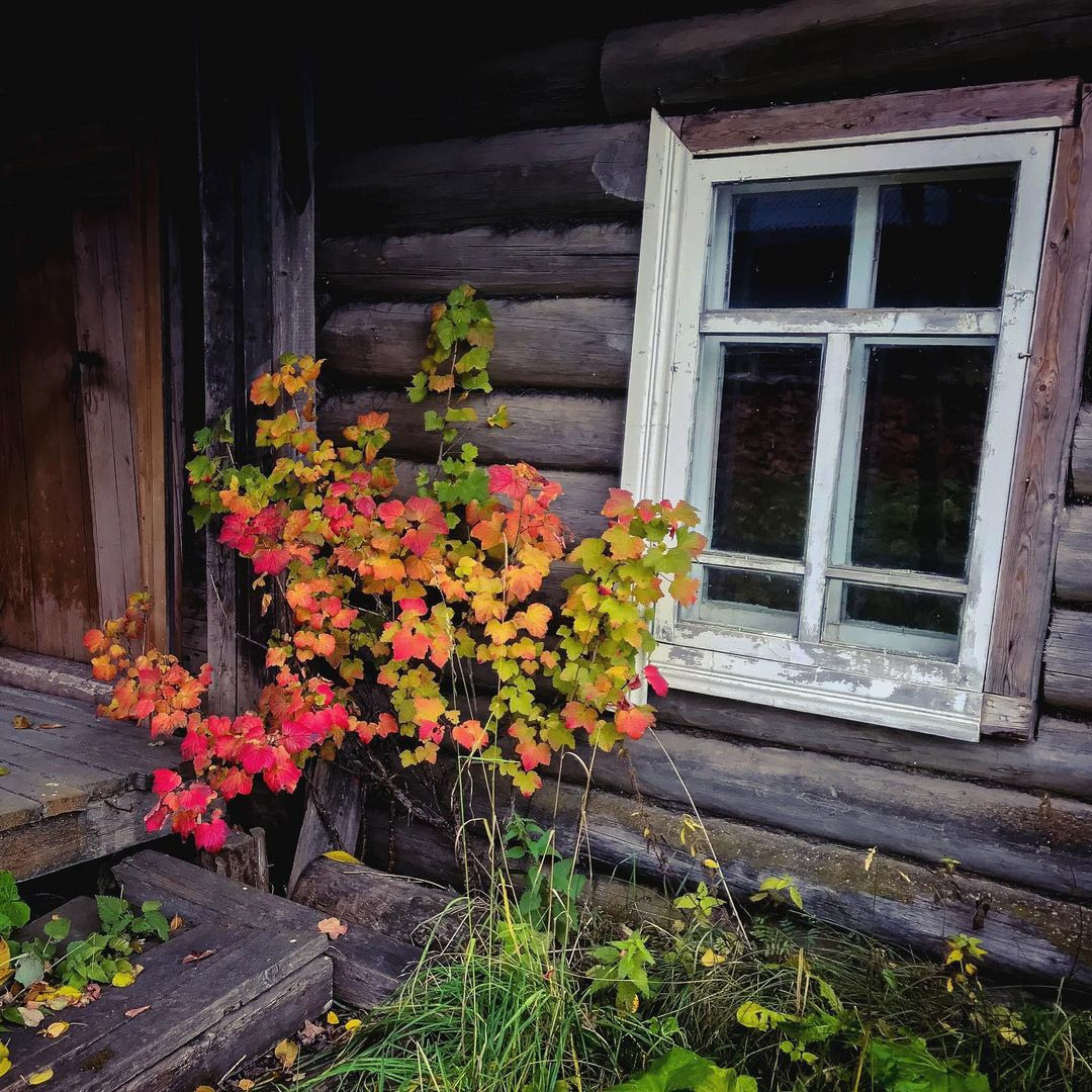 Мобильное фото. Фотограф Семён Родов