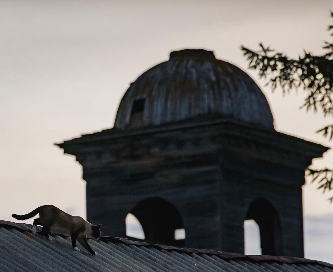 Мобильное фото. Фотограф Семён Родов