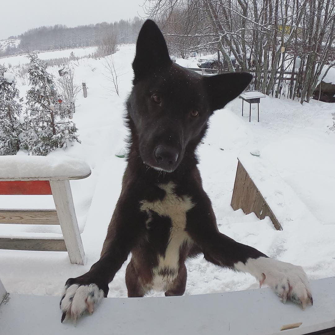 Мобильное фото. Фотограф Семён Родов