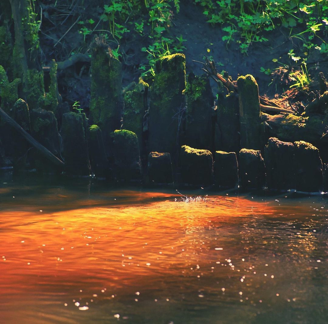 Мобильное фото. Фотограф Семён Родов