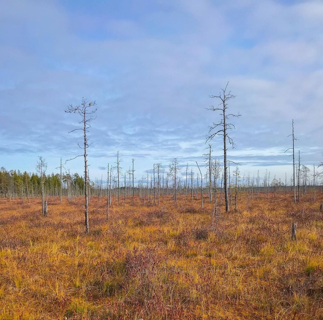 Мобильное фото. Фотограф Семён Родов