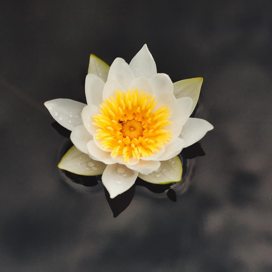 Мобильное фото. Фотограф Семён Родов