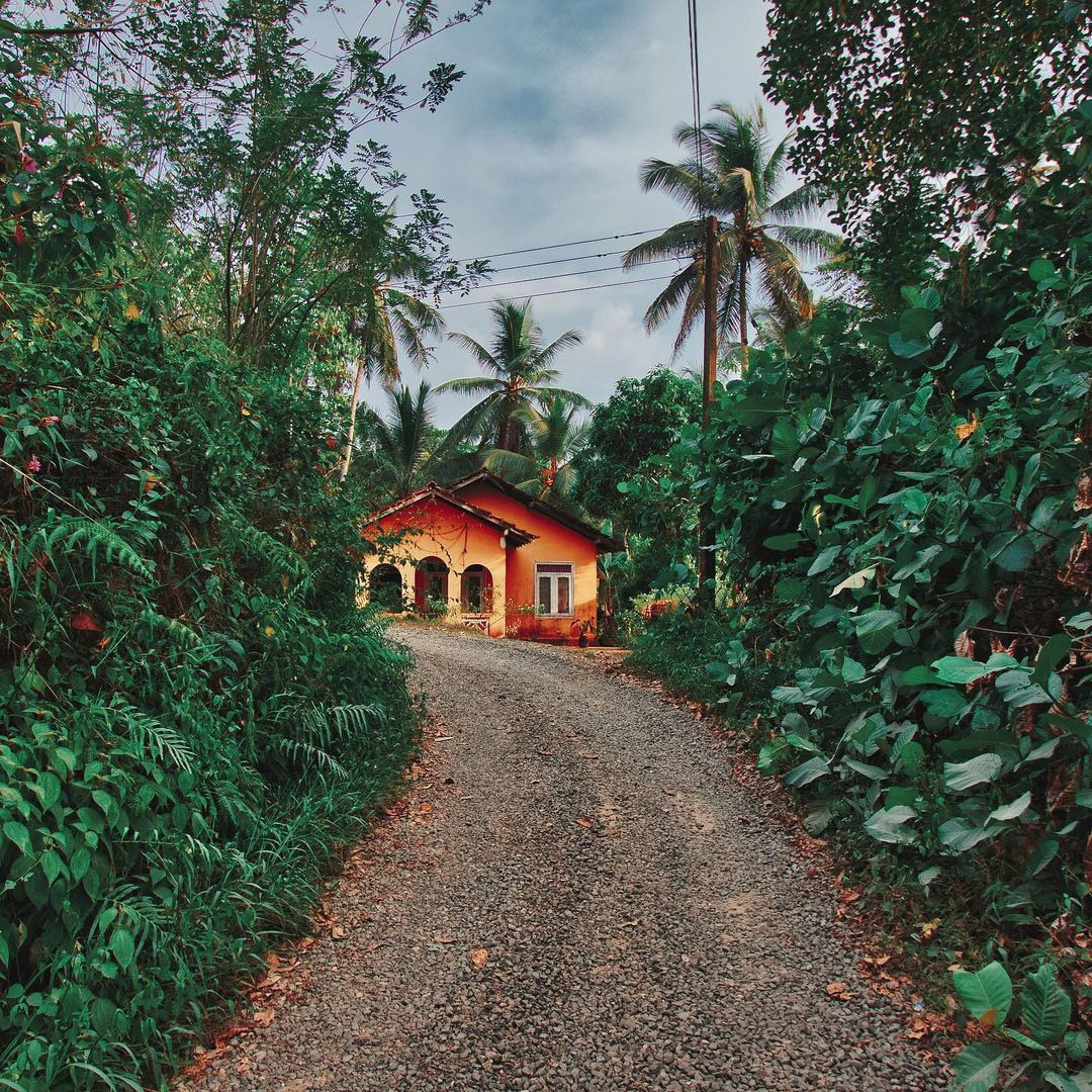 Мобильное фото. Фотограф Семён Родов