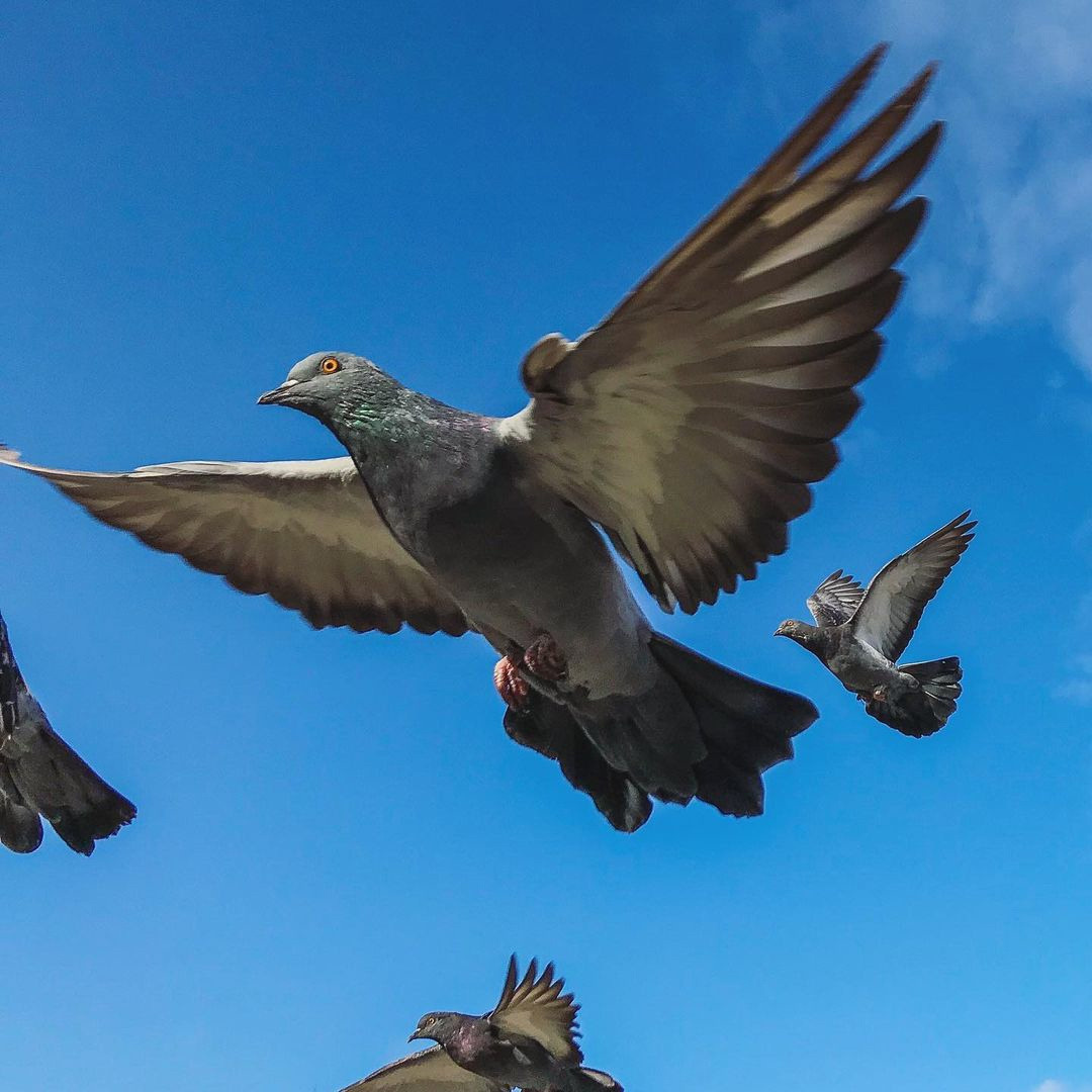 Мобильное фото. Фотограф Семён Родов