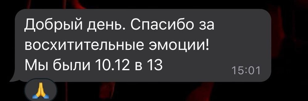 Катание на хаски в Спб