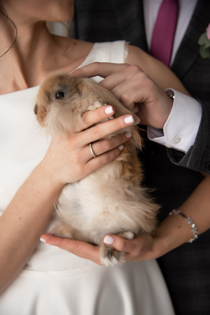 Маша и Сергей. Свадебный и семейный фотограф Ольга Астрейко