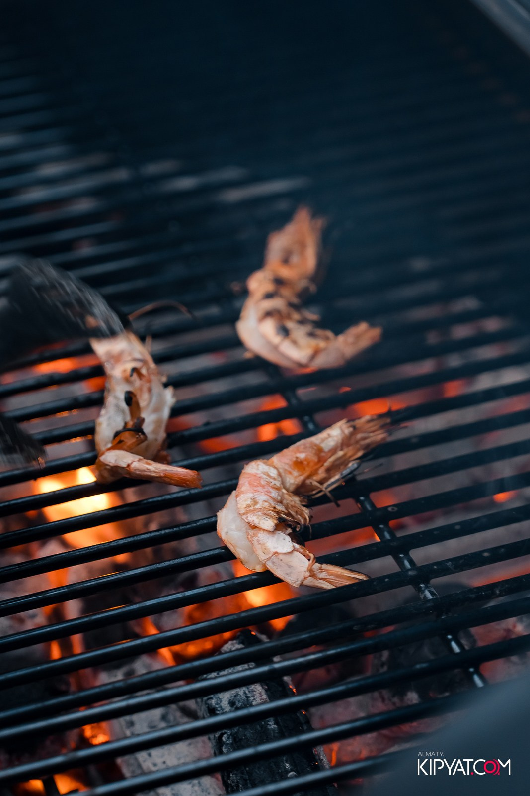 ДЕНЬ РОЖДЕНИЯ CAFE MAIN — 1 ГОД. КИПЯТКОМ АЛМАТЫ!