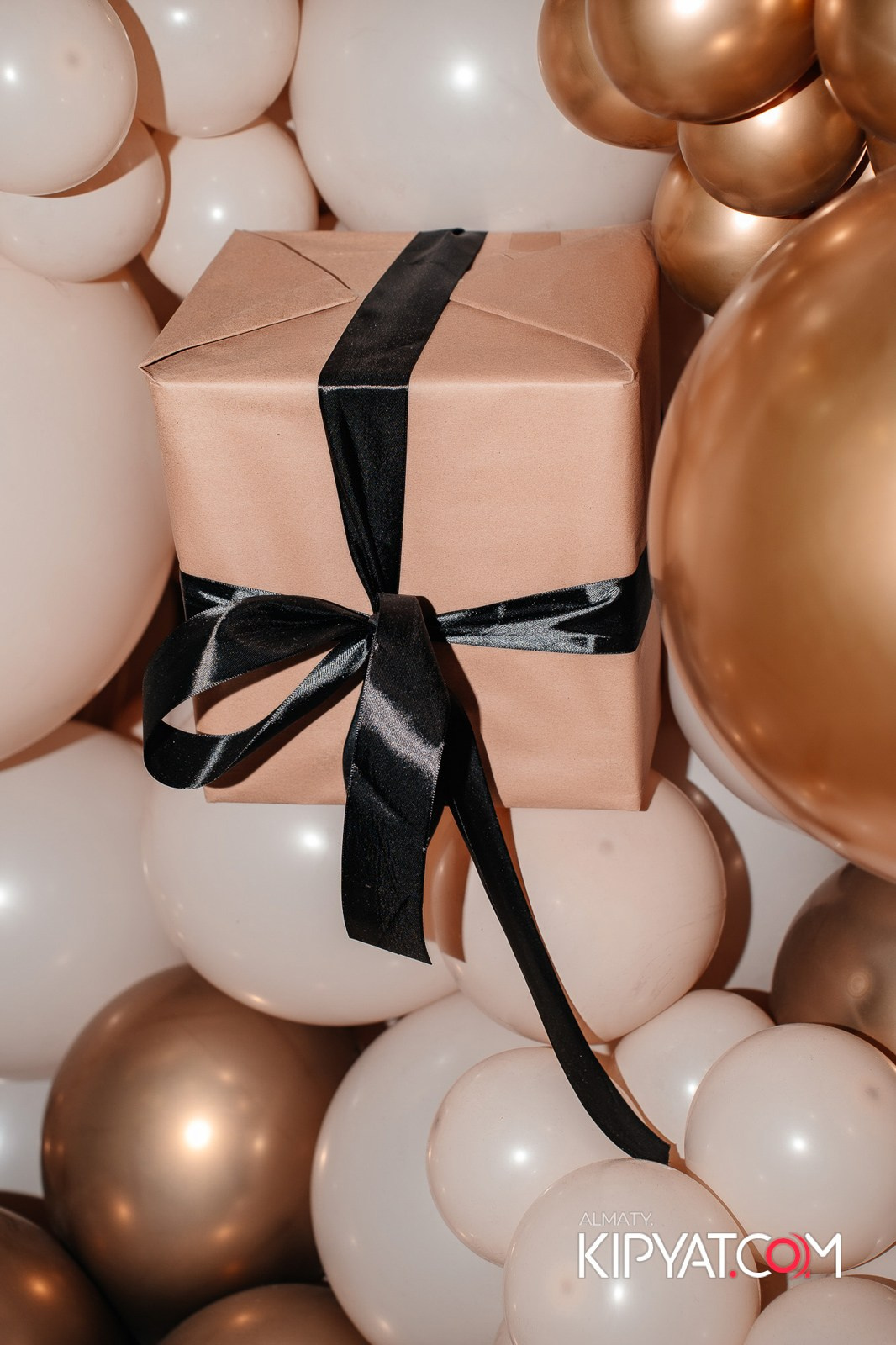 УХО И МЕДВЕДЬ НА КУРМАНГАЗЫ. КИПЯТКОМ АЛМАТЫ!