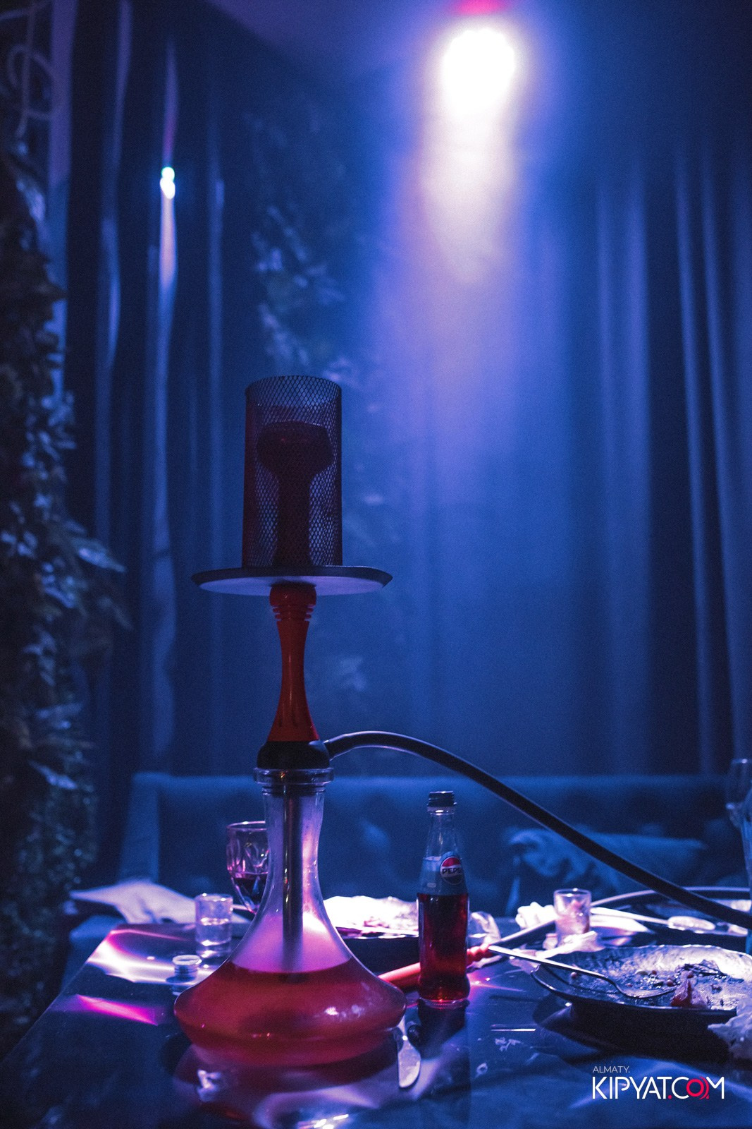 УХО И МЕДВЕДЬ НА КУРМАНГАЗЫ. КИПЯТКОМ АЛМАТЫ!