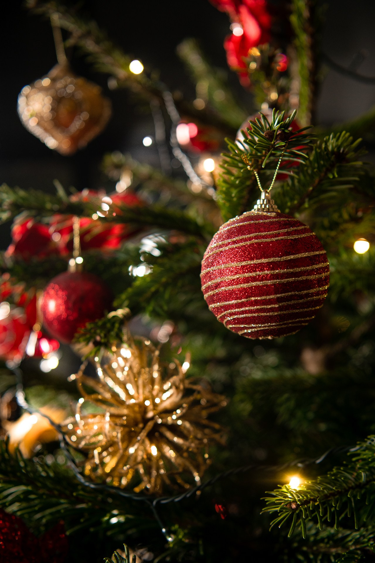 Предметная съемка елок. Фомина Елена Свадебный и семейный фотограф