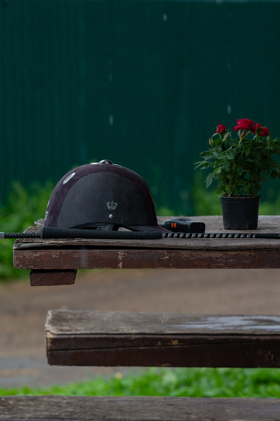 Конюшня. Мир живой фотографии о Вас и для Вас