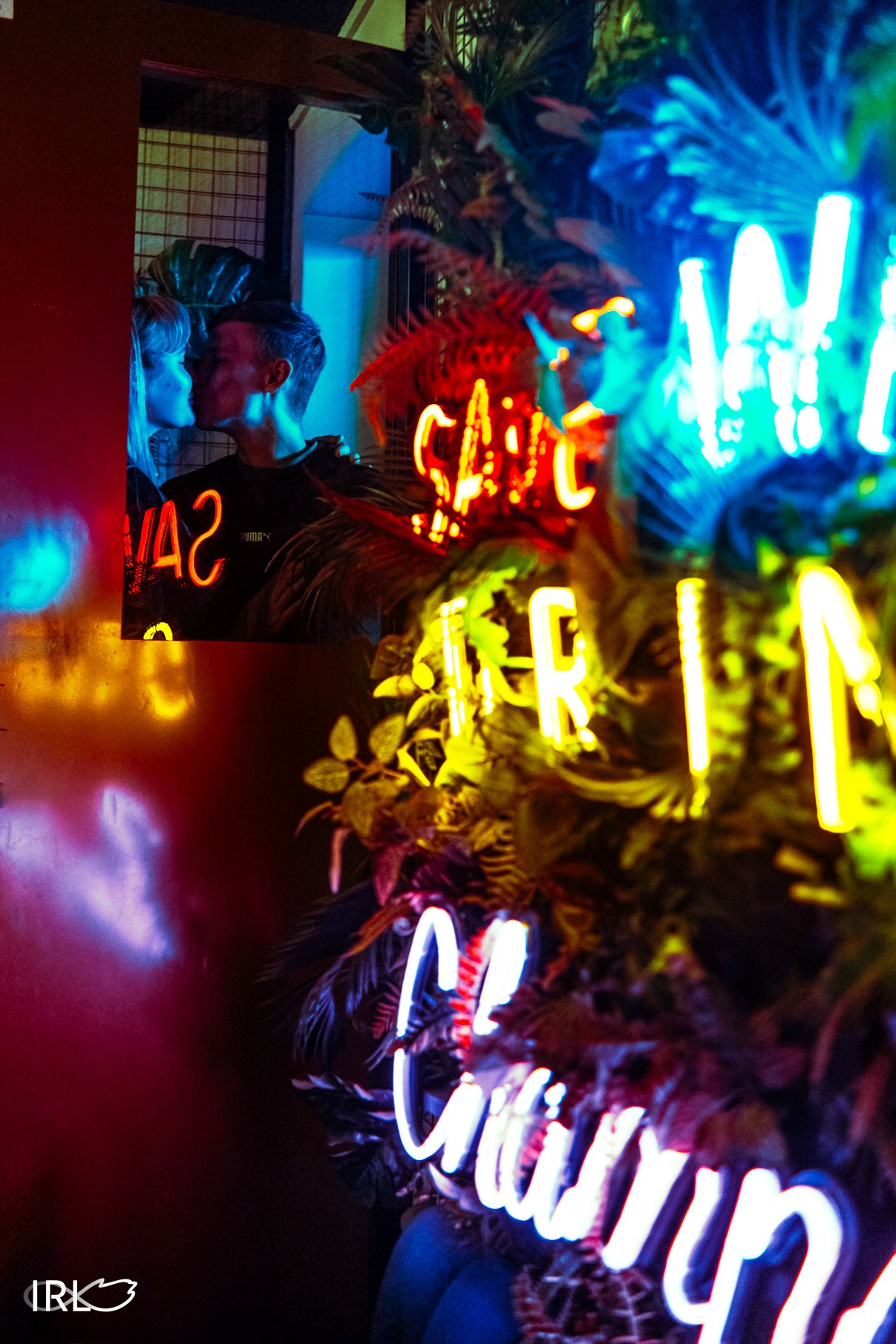 Премиум заведения. ИРЛ — Проект